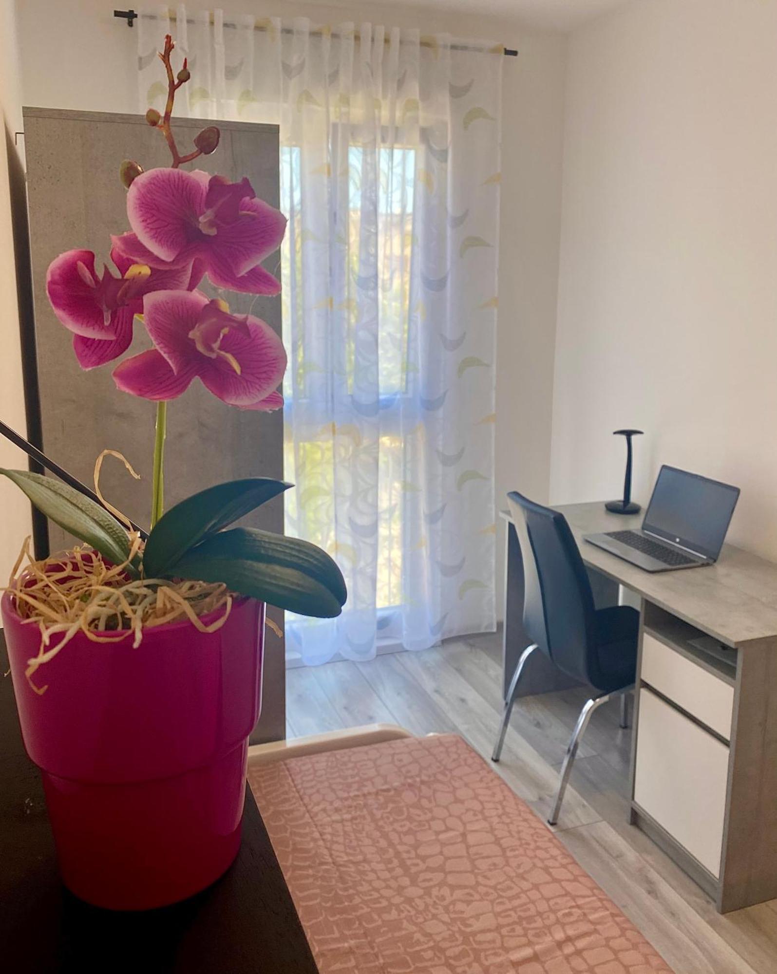 Ema Apartment Пула Екстериор снимка